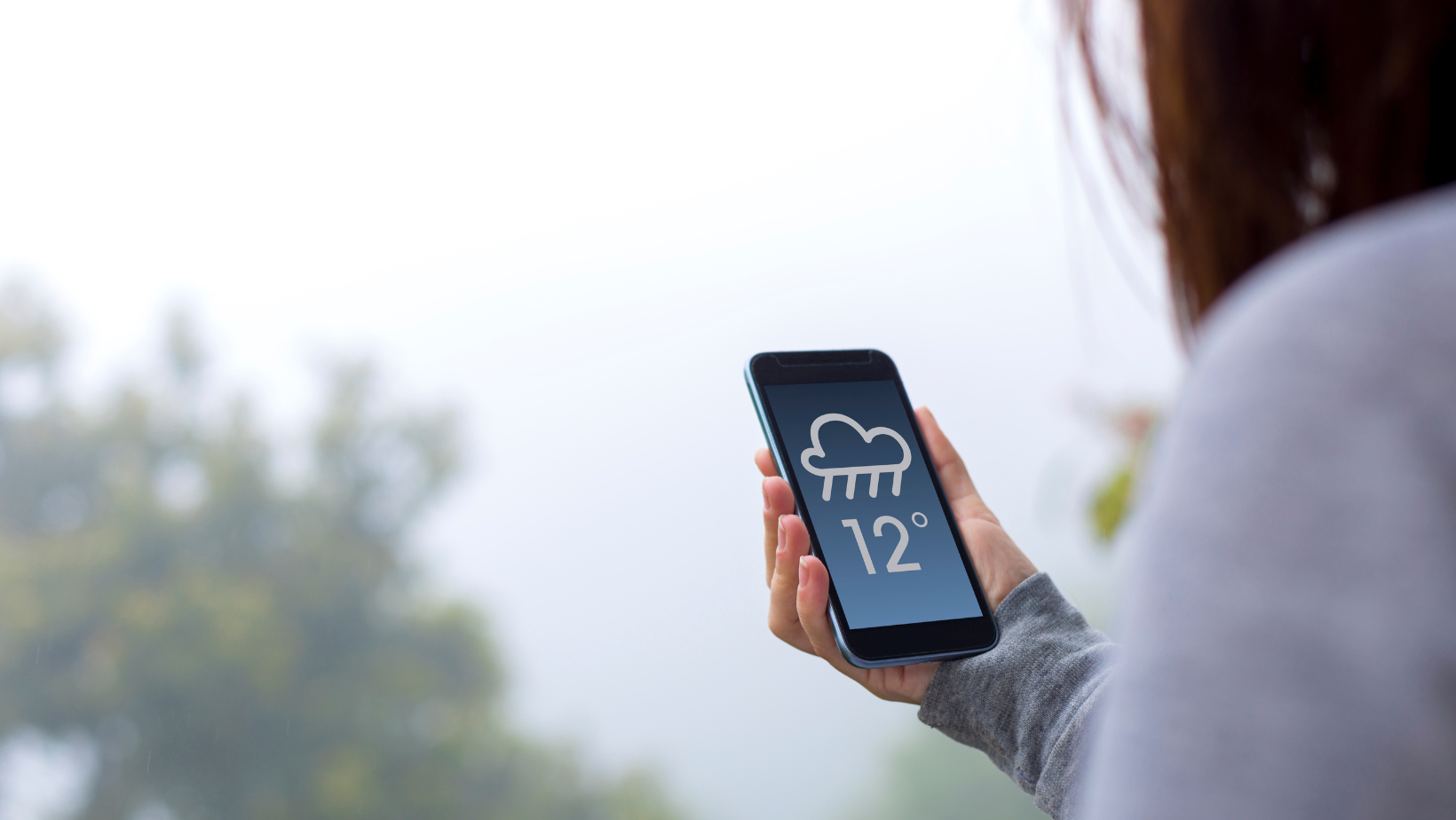 How to Develop a Global Weather Forecasting Chatbot